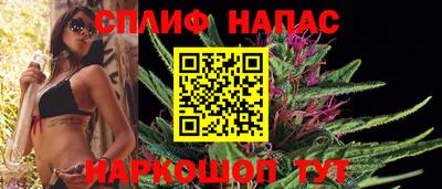 прущие грибы Анапа