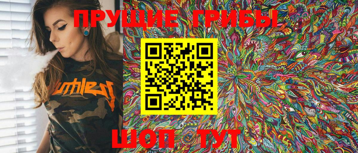 Псилоцибиновые грибы Psilocybine cubensis Волжский
